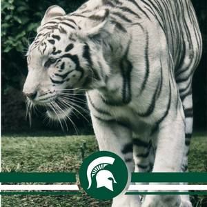 Meet your Posher, Tim